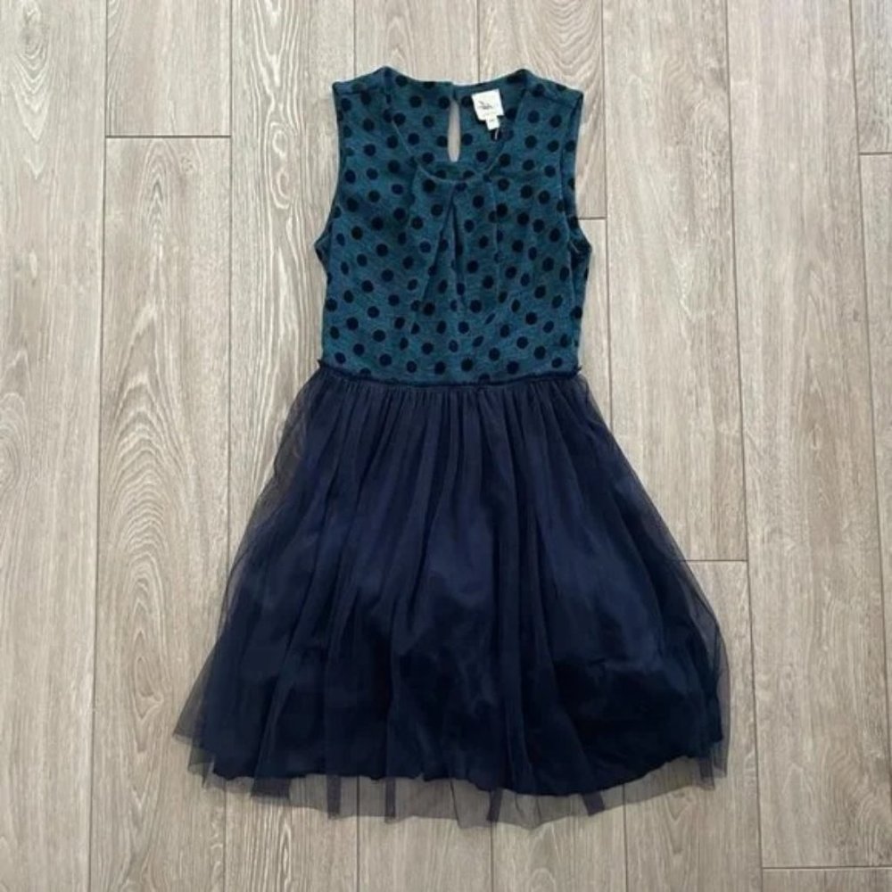 Anthropologie Polka Dot Tulle dress - Weston Wear Seasonger Dress